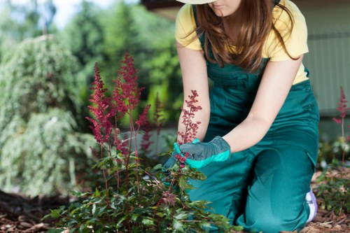 Wood chips and timber sorted for compliant green waste disposal