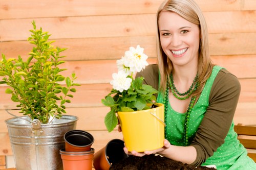 Tree Surgeons Soho payment security with Visa, Mastercard, PayPal and bank transfer